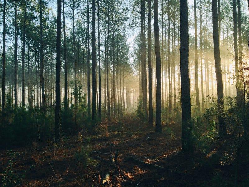 Comment se conformer aux directives CSRD (Corporate Sustainability Reporting Directive)